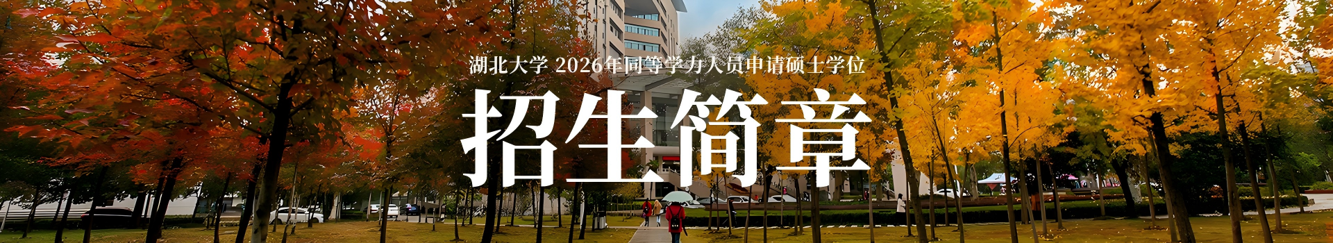 湖北大学同等学力申硕综合服务平台